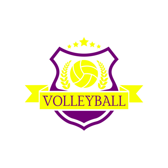 Volleyball 10 Vignette