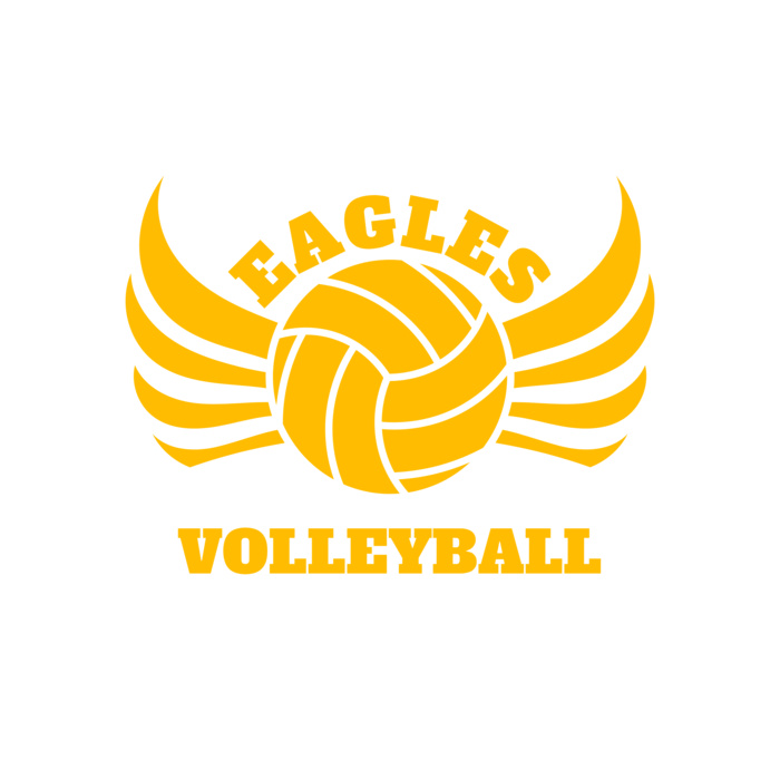 Volleyball 11 Vignette