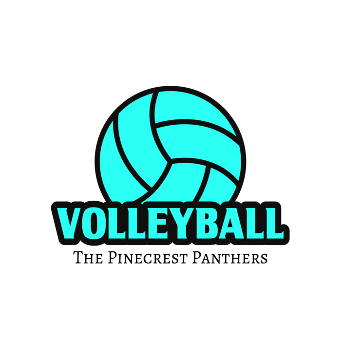 Volleyball 37 Vignette