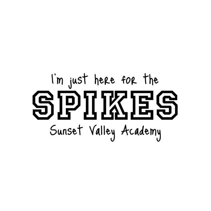 Volleyball 45 Vignette