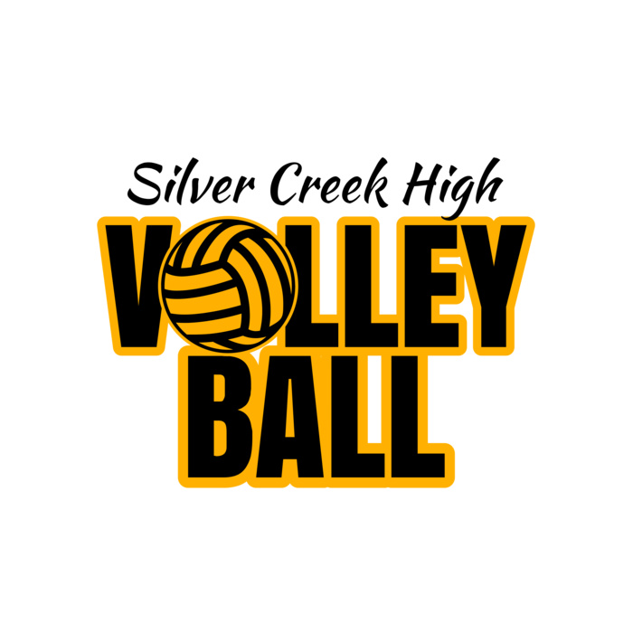 Volleyball 55 Vignette