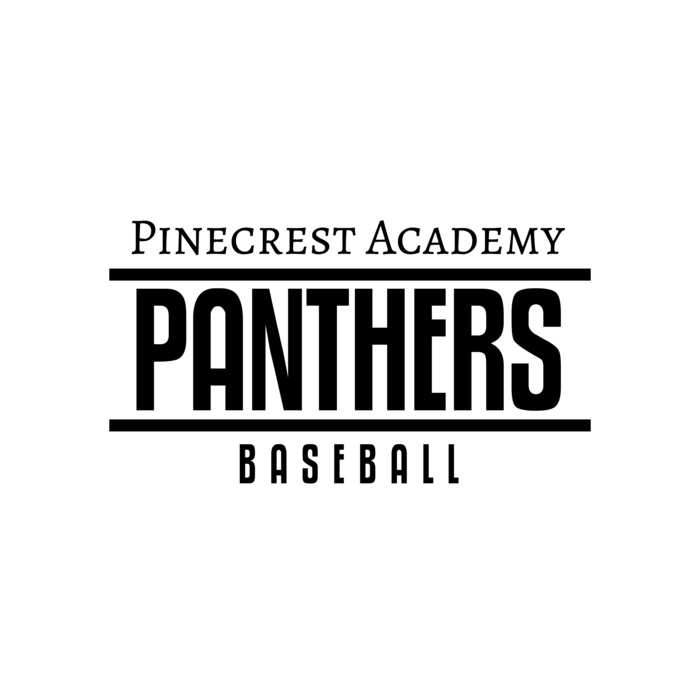 Baseball 006 Vignette