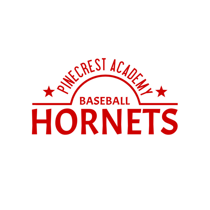 Baseball 012 Vignette