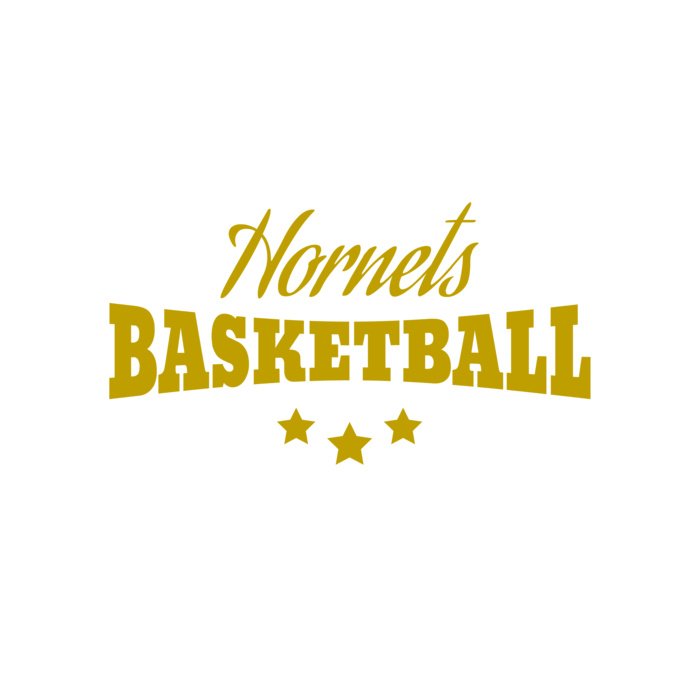 Basketball 017 Vignette