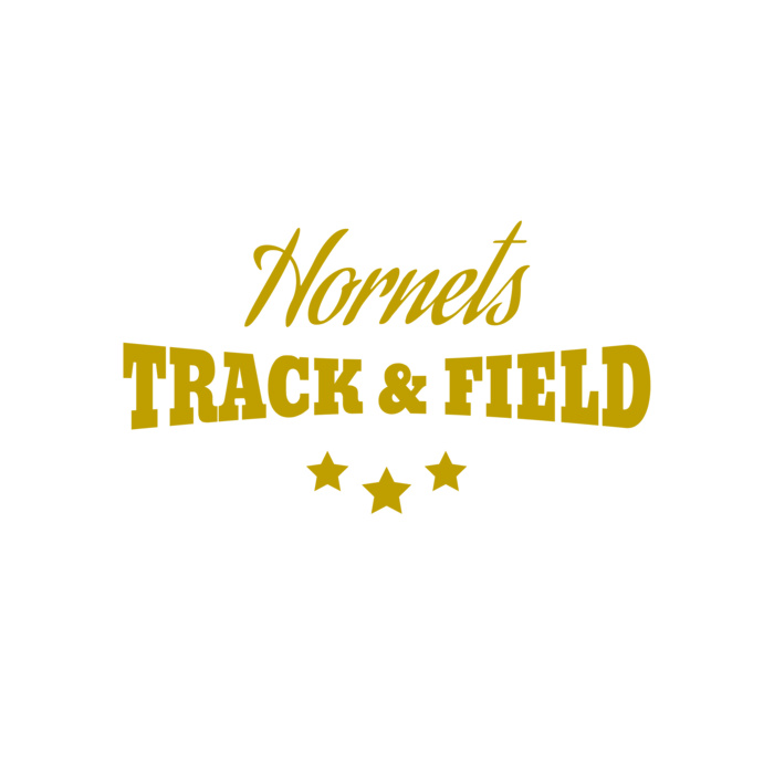 Track and Field 017 Vignette