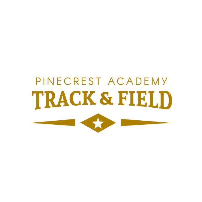 Track and Field 020 Vignette