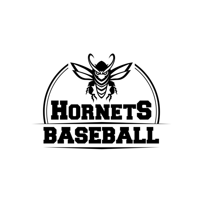 Baseball 038 Vignette