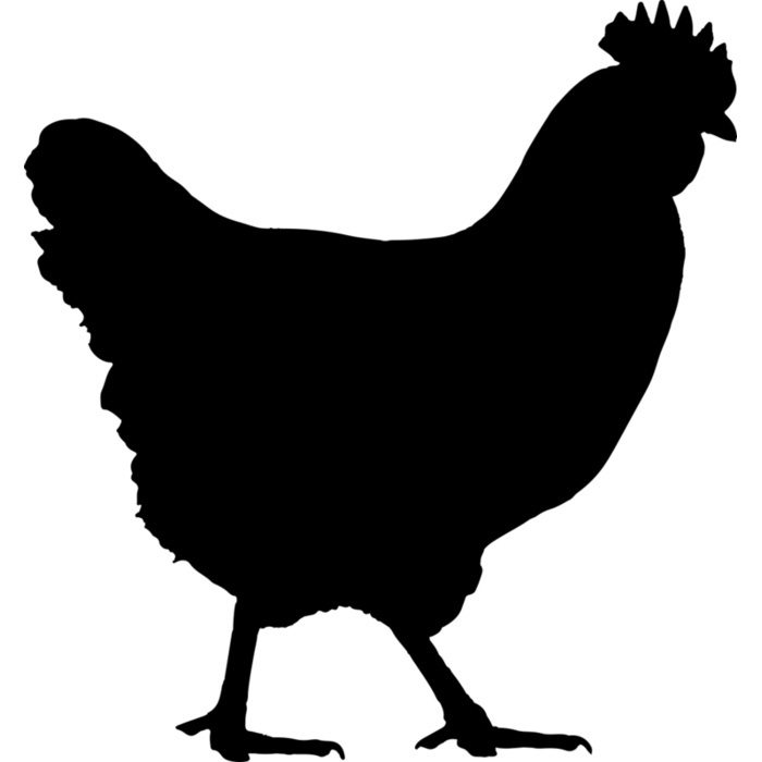 Chicken   Clipart 1 Vignette