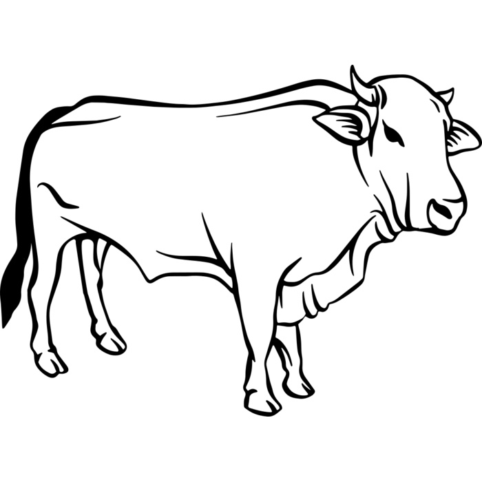 Cow   Clipart 2 Vignette
