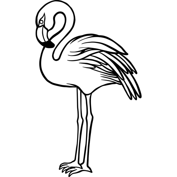 Flamingo   Clipart 1 Vignette