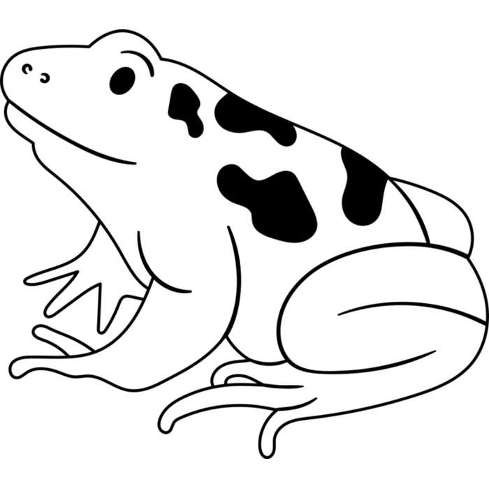 Frog   Clipart 1 Vignette