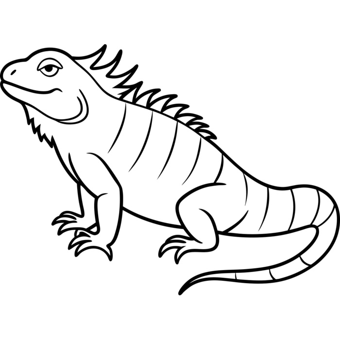 Iguana   Clipart 1 Vignette