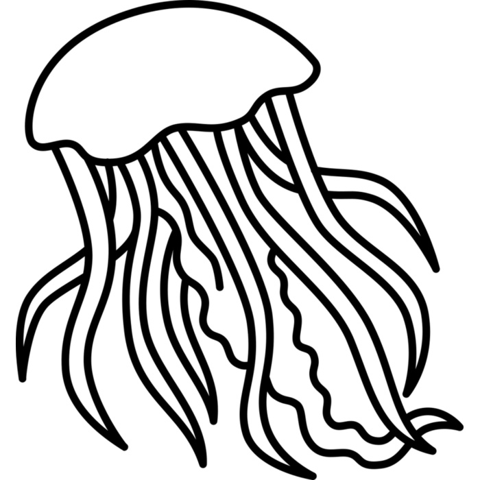 Jellyfish   Clipart 2 Vignette