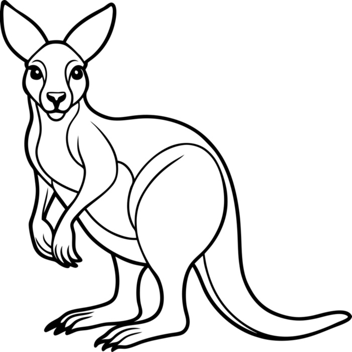 Kangaroo   Clipart 2 Vignette