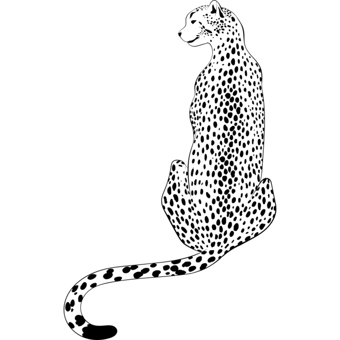 Leopard   Clipart 4 Vignette