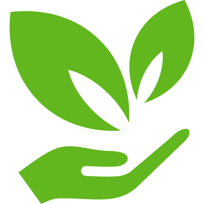 51 Leaves in hands Vignette