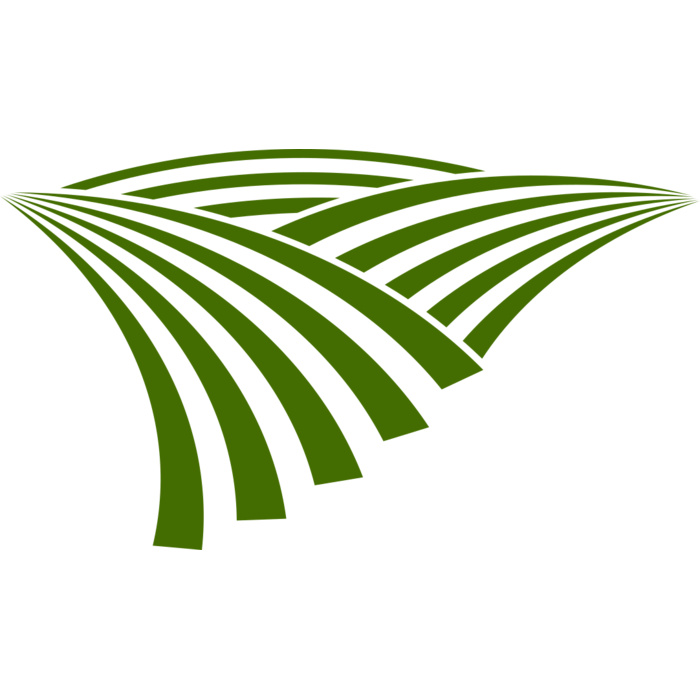 71 Rice Field Vignette