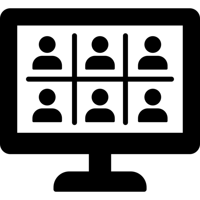 20 Online Meeting Vignette