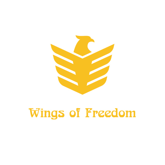 Air Force 08 Vignette