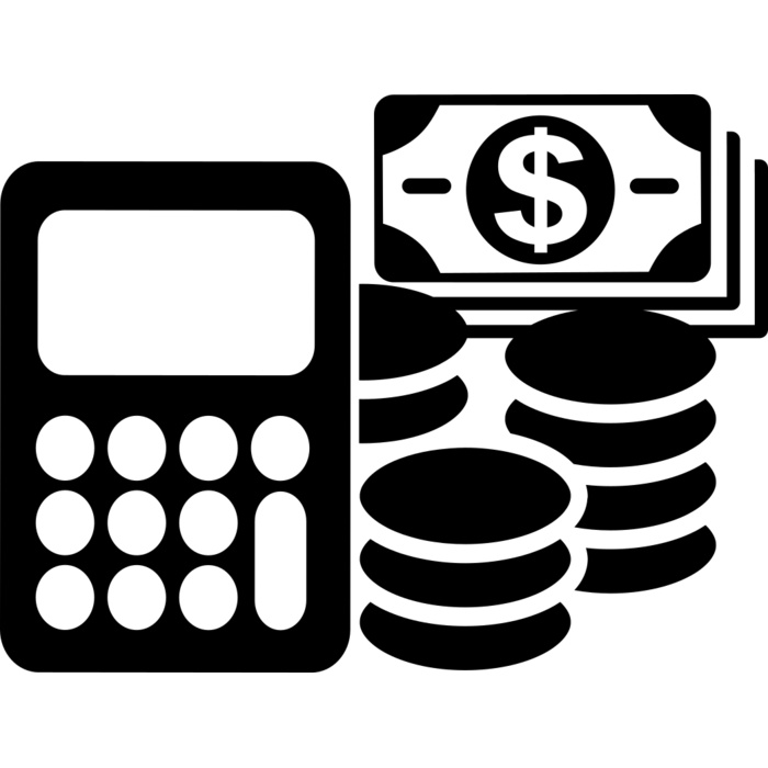 Financial Auditing Vignette