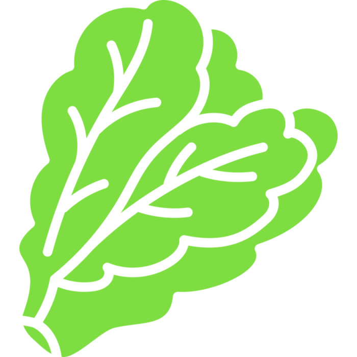 Lettuce Vignette