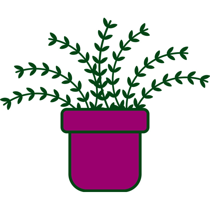 Plant 3 Vignette