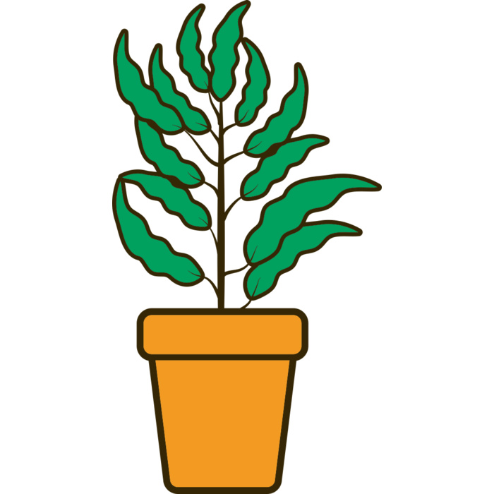 Plant 2 Vignette