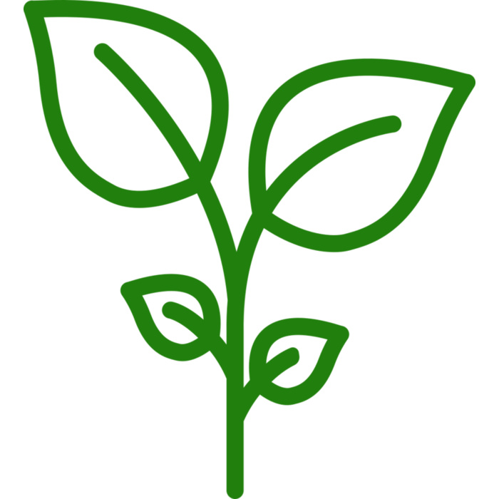 Plant Vignette