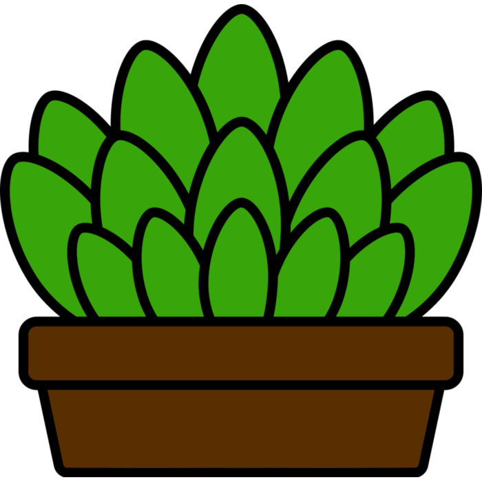 Succulent Plant Vignette