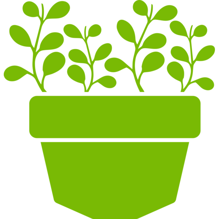 Succulent Plant 3 Vignette