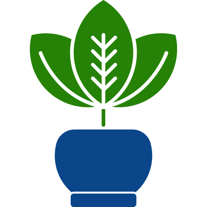 Plant 2 Vignette