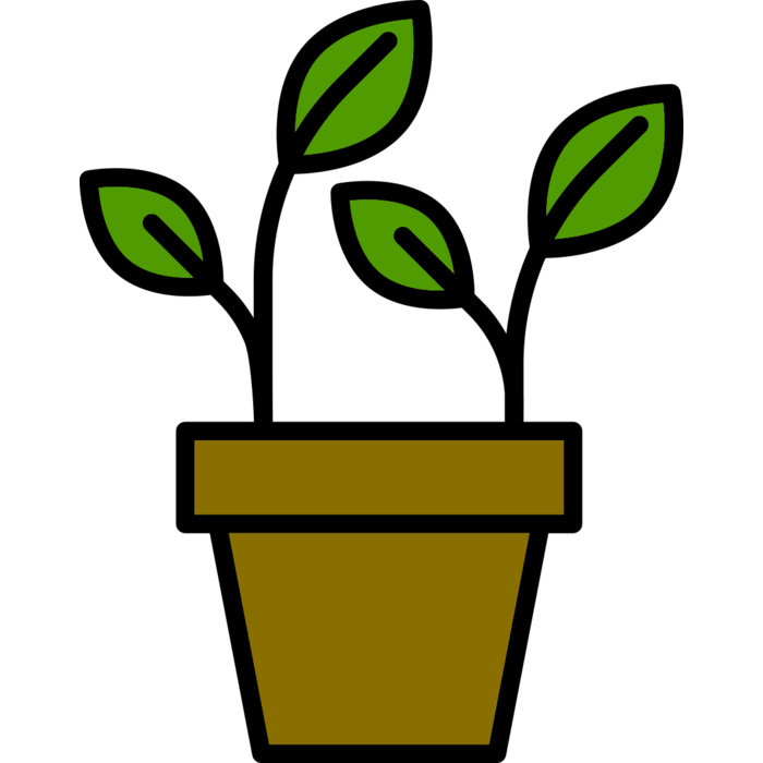 Plant 3 Vignette