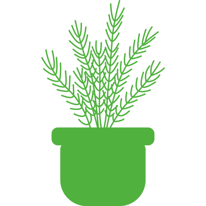 Herb Vignette