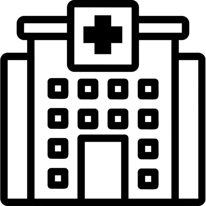 Public Hospital Vignette