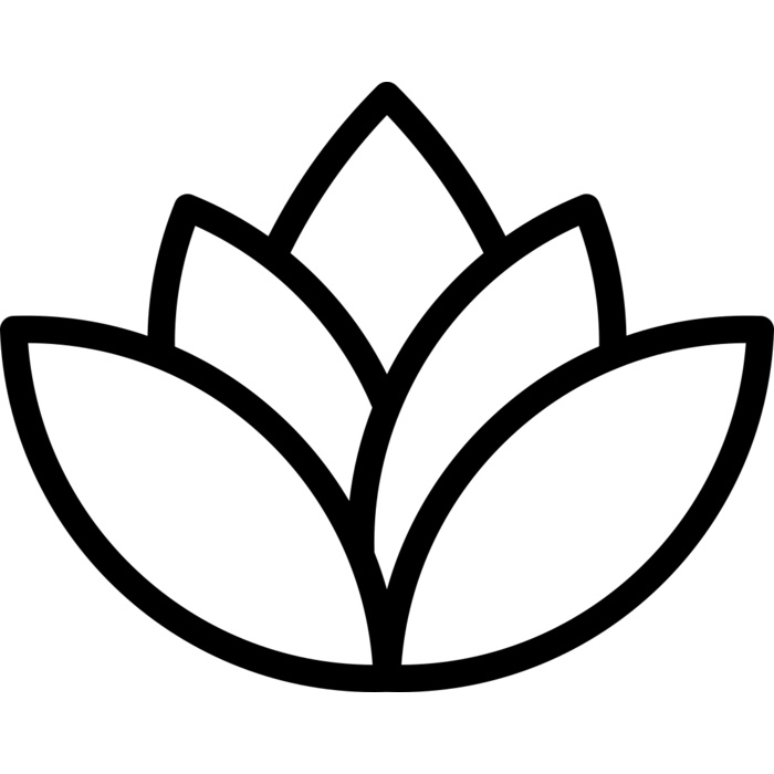 Lotus 1 Vignette
