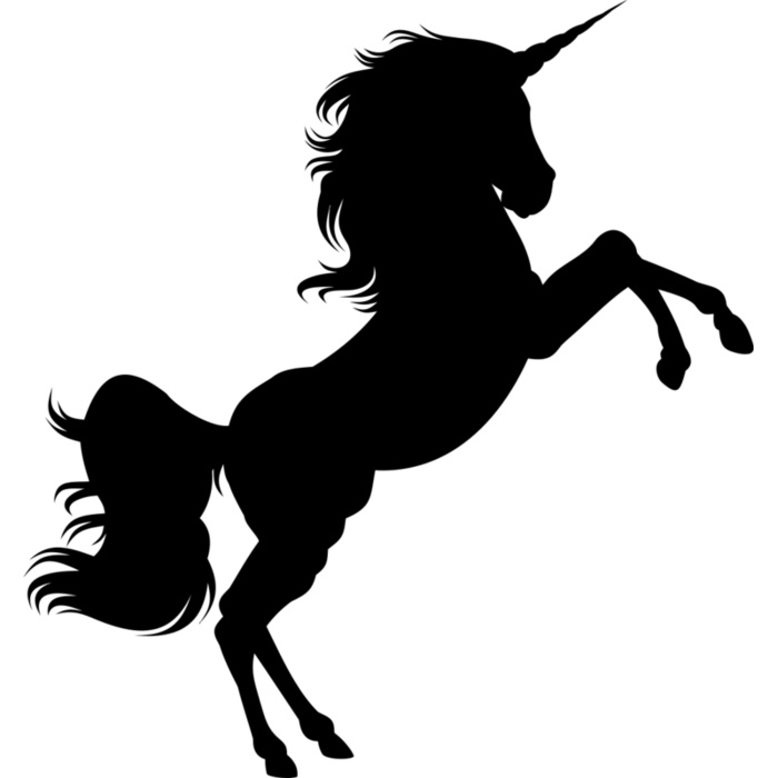 Unicorn 2 Vignette