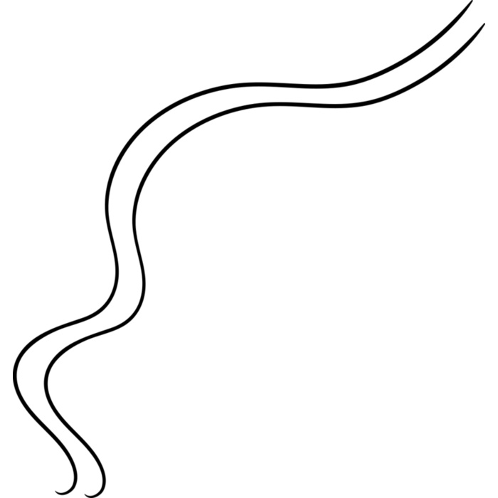Abstract Curved Line Vignette