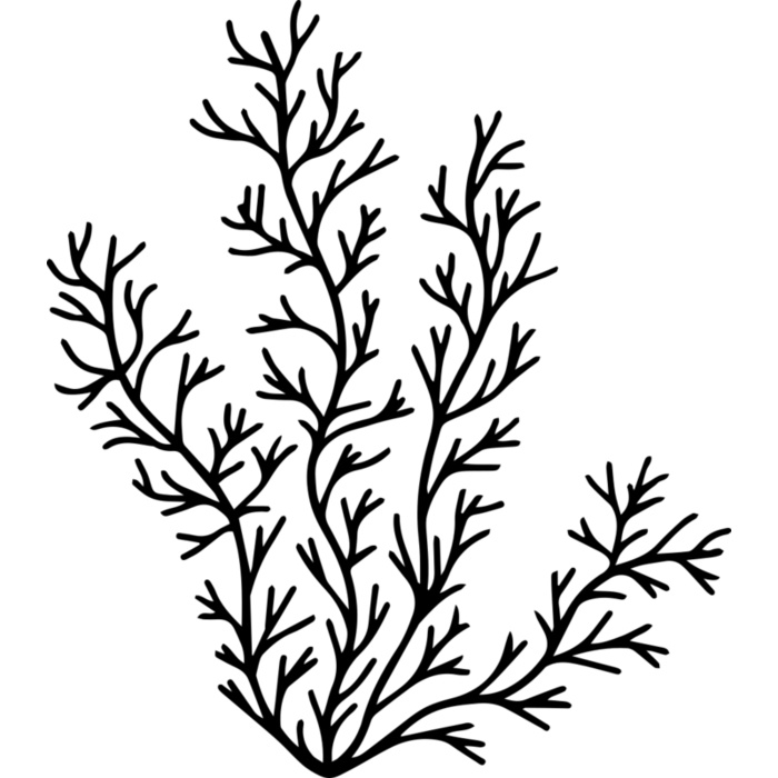 Herb Sprig Vignette