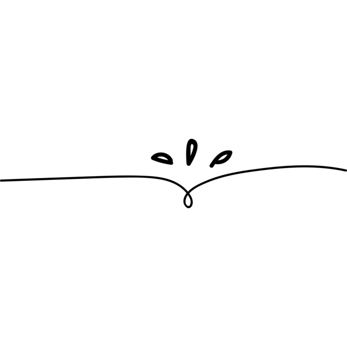 Minimal Elegant Divider Vignette