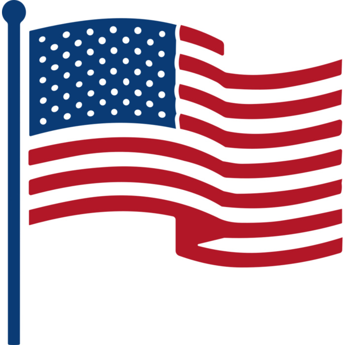 US Flag in Pole Vignette