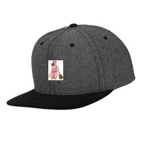 Chambray-suede snapback (6089CH) Vignette