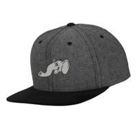 Chambray-suede snapback (6089CH) Vignette