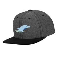 Chambray-suede snapback (6089CH) Vignette