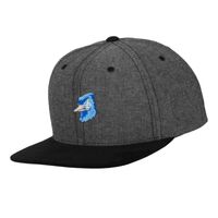 Chambray-suede snapback (6089CH) Vignette