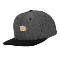 Chambray-suede snapback (6089CH) Vignette