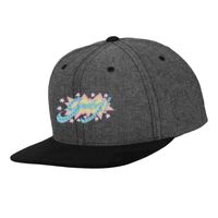 Chambray-suede snapback (6089CH) Vignette