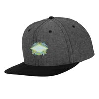 Chambray-suede snapback (6089CH) Vignette