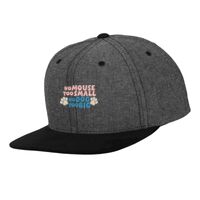 Chambray-suede snapback (6089CH) Vignette