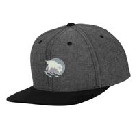 Chambray-suede snapback (6089CH) Vignette