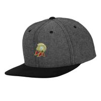 Chambray-suede snapback (6089CH) Vignette